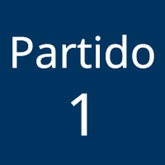 Partido 1